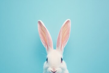 Obraz premium White rabbit with pink ears poses against a light blue background showcasing its curious expression