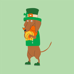 Dachshund dog wearing costumes for St. Patrick's day. A cartoon dog wearing a green hat and holding a horseshoe