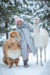 Smiling young girl in pink hat and mittens, blue jacket holds white llama against winter landscape.