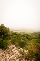 Paysage de montage dans le brouillard 11