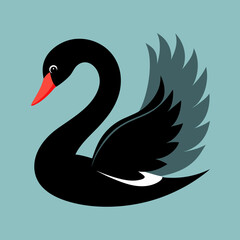 black swan vector