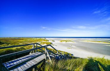 View of the dunes on the North Frisian island of Amrum. Landscape in the north. Nature on the North Sea island.  © Elly Miller