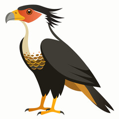 vector illustration of cartoon vulture crested caracara