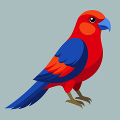 vector illustration of a red parrot crimson rosella
