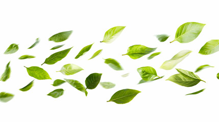 Naklejka premium Falling Green Leaves White Background Nature Image