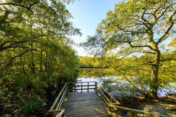 View of a pond on the North Frisian island of Amrum. Landscape in the north. Nature on the North Sea island.  © Elly Miller