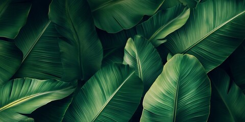 Obraz premium Abstract background featuring vibrant green banana leaves, perfect for design purposes. This banana leaf background offers a fresh and natural aesthetic suitable for creative projects.