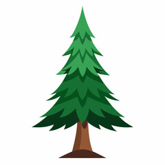 fir tree isolated on white