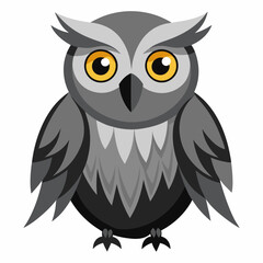 owl on a white background great gray