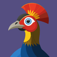 peacock head vector illustration helmeted guineafowl