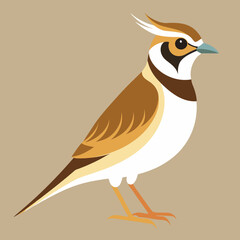 horned lark cartoon vector