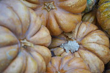 Several pumpkins are stacked on top of each other on the threshold of the building. Autumn. Rainy...