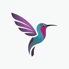 Hummingbird vector illustration logo design