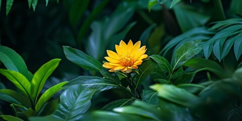 Vibrant yellow flower blooming amidst lush green foliage, showcasing the beauty of nature with a stunning yellow flower that enhances the surrounding greenery and creates a captivating scene.