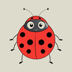 ladybug on white background