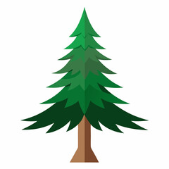 pine tree vector illustration