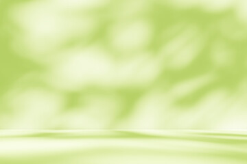 Empty green room studio with sunlight effect shadow of leaves. Minimal background for product presentation. Summer spring backdrop. Cosmetic and beauty products display room.  © Maliflower73