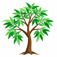 green tree vector