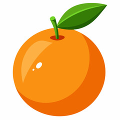 orange fruit vector illustration