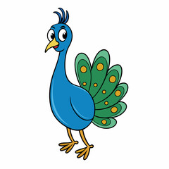peacock illustration