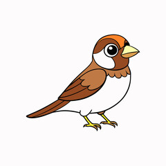 sparrow on a branch