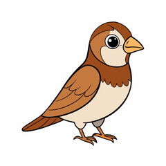 illustration of a sparrow