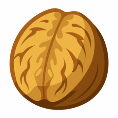 vector illustration of a walnut