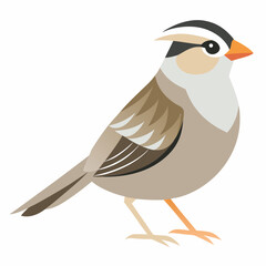 illustration of a sparrow