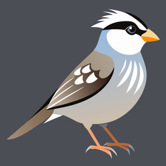 illustration of a sparrow