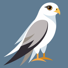 kite tailed cartoon isolated 