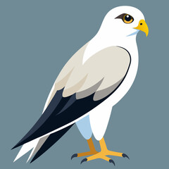 kite tailed cartoon isolated 