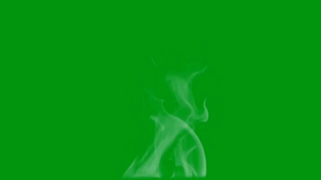 Atmospheric Fog on Green Screen - Perfect for Spooky Scenes