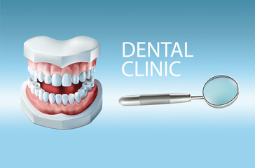 Tooth model and magnifying glass on a blue background, Vector illustration