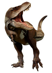 Fototapeta premium 3D Rendering Tyrannosaurus Mcraeensis on White