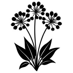 wild garlic silhouette vector illustration