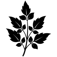 sorrel silhouette vector illustration