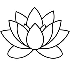 water lily line art vector illustration
