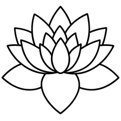 water lily line art vector illustration