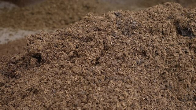 A pile of animal manure collected for the production of biomethane or for fertilizing agricultural fields.