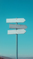 Versatile Blank Multi-Arrow Signpost with Clean Boards under Clear Blue Sky - Professional Directional Concept Design