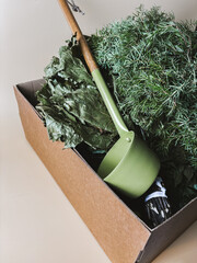 Gift box with Sauna accessories: Juniper broom, dry broom for steaming, a ladle, mug, a bags of herbs. High quality photo