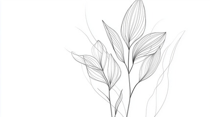 Obraz premium Minimalist Line Art: Elegant Botanical Leaves Drawing for Modern Decor