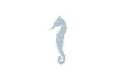 Fototapeta premium Beauty blue sea horse
