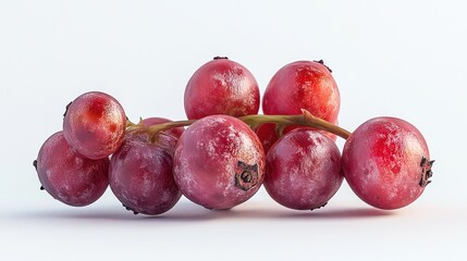 Obraz premium Vibrant Redcurrants Close-up: Glistening Berries on White Background