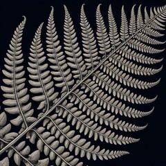 Botanical Fern A detailed outline of a fern showcasing the intri