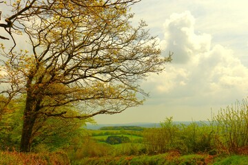 besondere Stimmung im Dartmoor