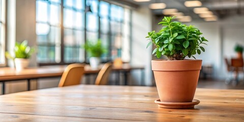 A small potted plant with a terracotta pot sitting on a wooden desk in a quiet office setting, simple elegance, workspace
