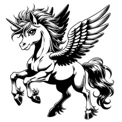 Pegasus Illustration