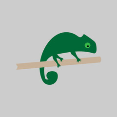 chameleon, reptile, illustration, animal, nature, cartoon, vector, colours, frog, advertising, alien, artwork, catching, challenge, change, children, jungle, rainbow, simplicity, standing, sticker, 