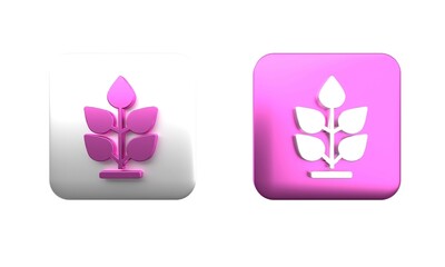 Colorful Plant icon isolated on white background. Seed and seedling. Leaves sign. Leaf nature. Square button. 3D render illustration